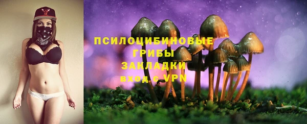 a pvp Алексин