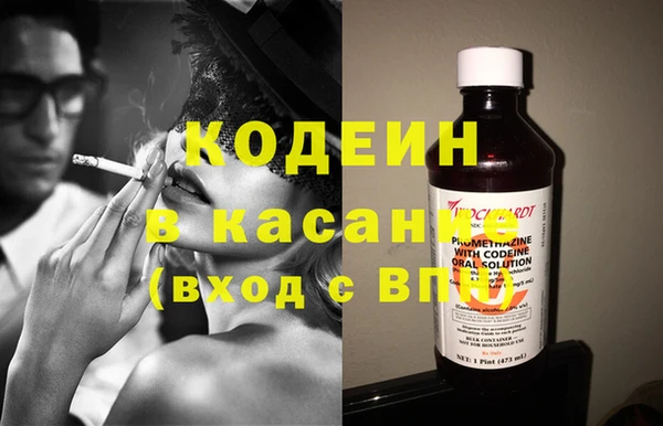 ГАЛЛЮЦИНОГЕННЫЕ ГРИБЫ Абаза