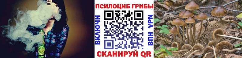 omg ссылка  Кызыл  Галлюциногенные грибы прущие грибы 
